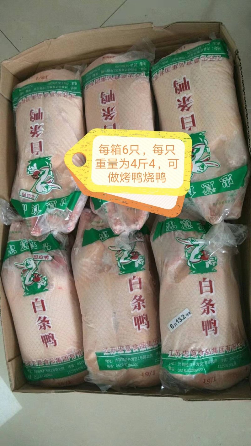供应各种规格白条鸭