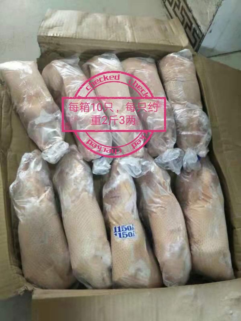 供应各种规格白条鸭