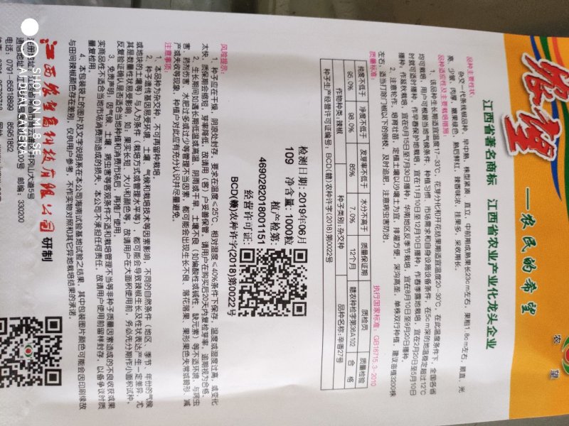 农望辛香27号条线椒种子