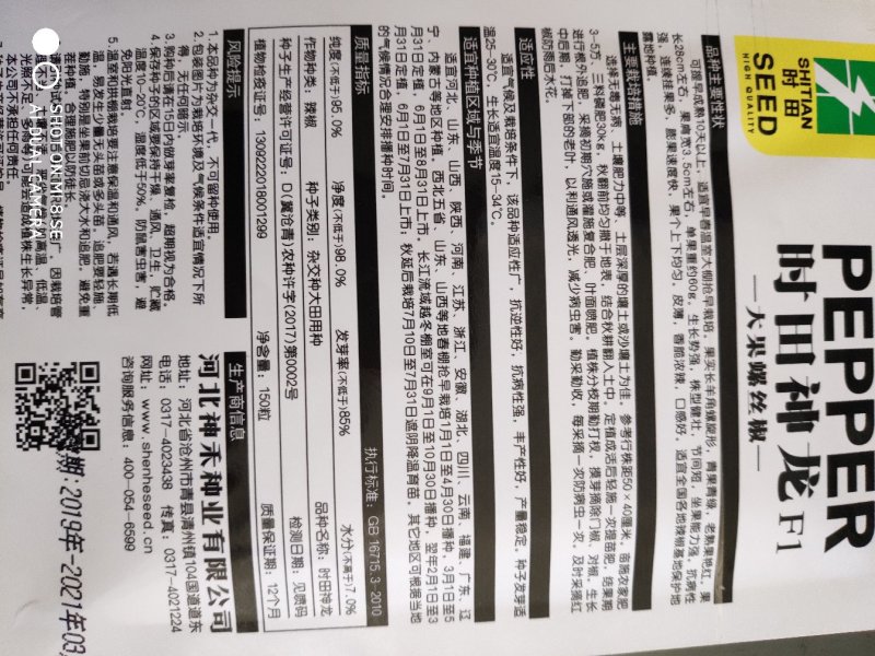 时田神龙大果螺丝椒种子