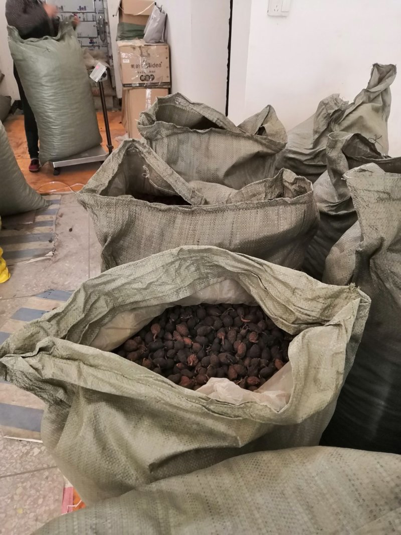 云南草果不掺越南草果足干颜色靓无烟果