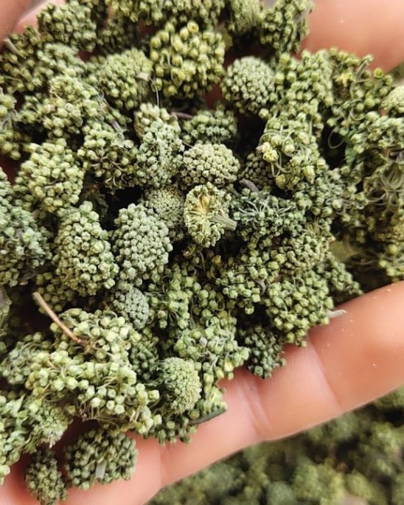 三七花，云南文山，三年花，关书药业批发中药材…