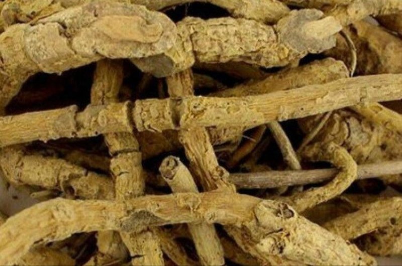 鸡骨香，道地药材，质优价实，药典标准，一站购齐一公斤起批