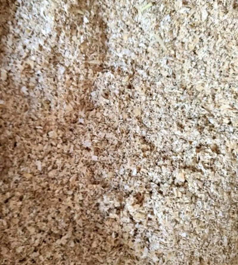 大量收购麦麸