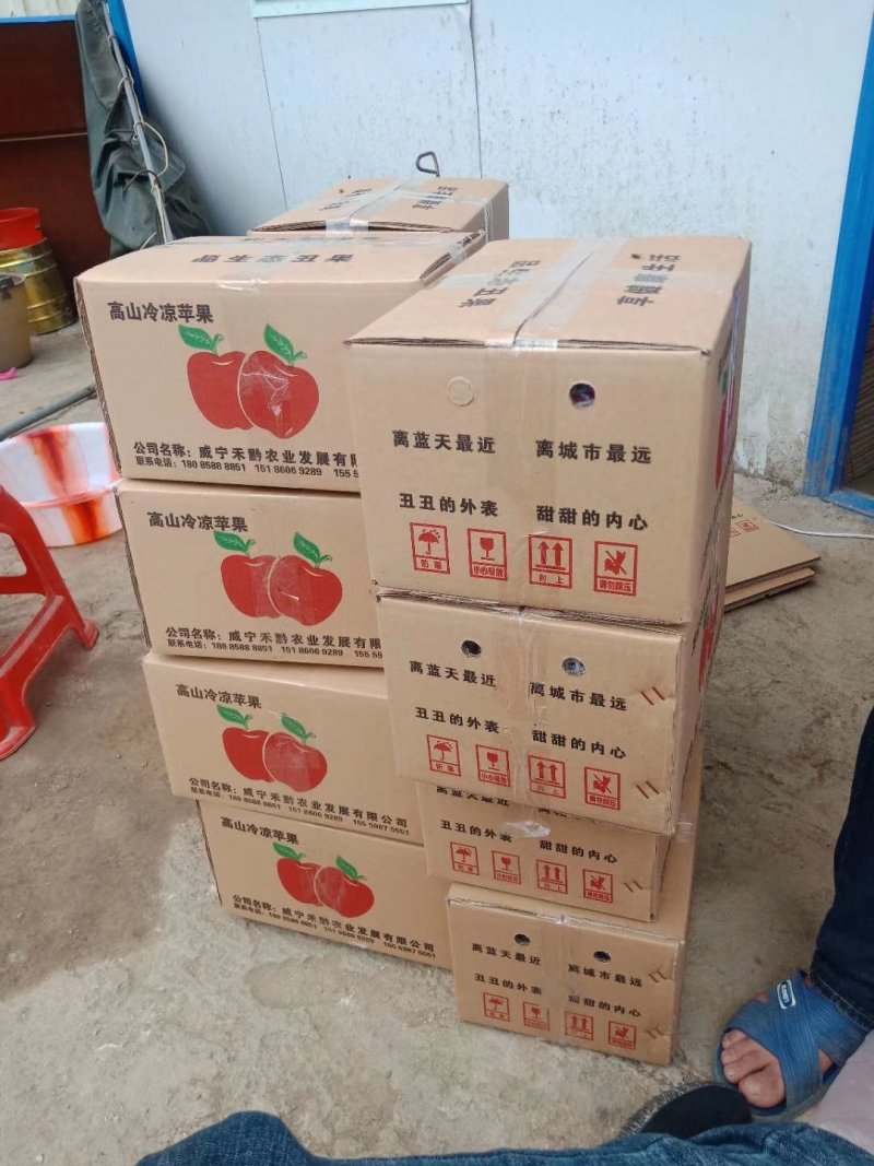糖心苹果