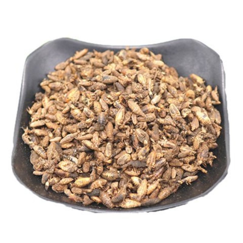 沙牛角，道地药材，质优价实，品质保证，药典标准一公斤起批
