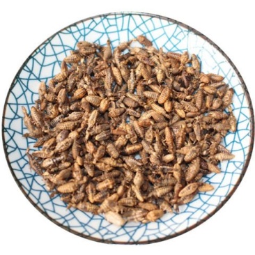 沙牛角，道地药材，质优价实，品质保证，药典标准一公斤起批