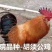胡须鸡公苗，价格便宜的公鸡苗，成年体重5.5斤左右