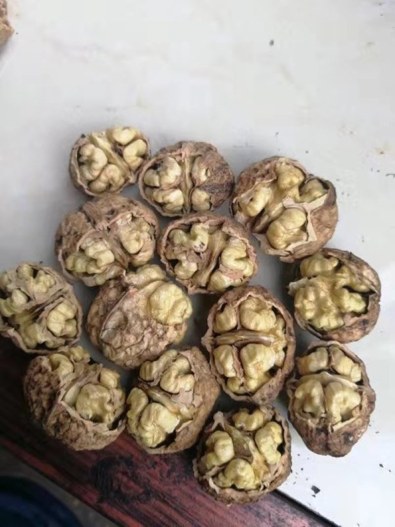 云南漾濞核桃，麻子核桃，十斤一箱！一箱起发，买一箱也是批