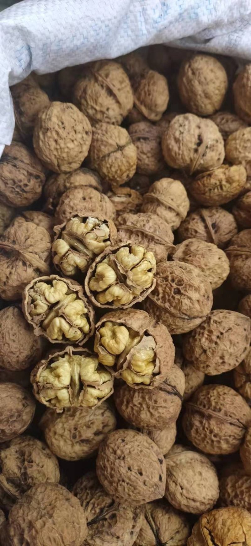 云南漾濞核桃，麻子核桃，十斤一箱！一箱起发，买一箱也是批