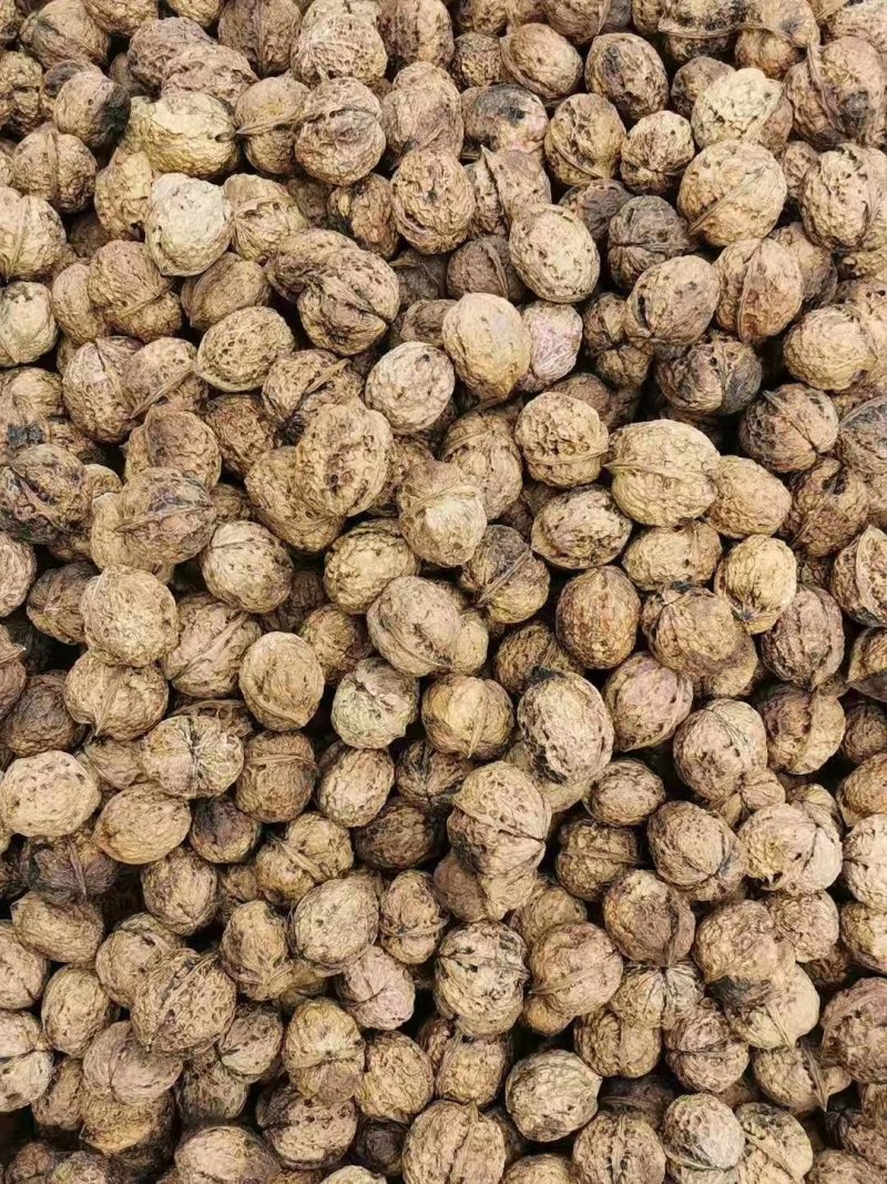 云南漾濞核桃，麻子核桃，十斤一箱！一箱起发，买一箱也是批