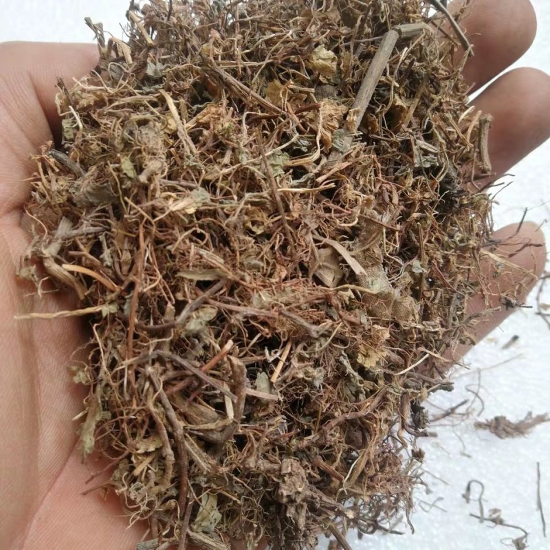 酸浆草，道地药材，质优价实，品质保证，药典标准一公斤起批