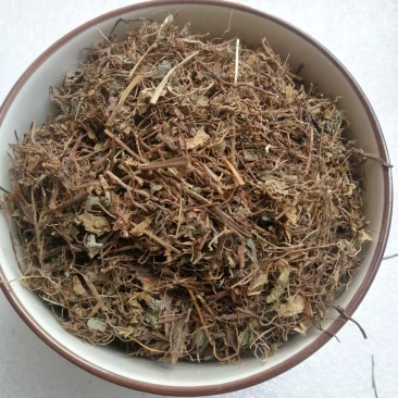 酸浆草,道地药材,质优价实,品质保证,药典标准一公斤起批