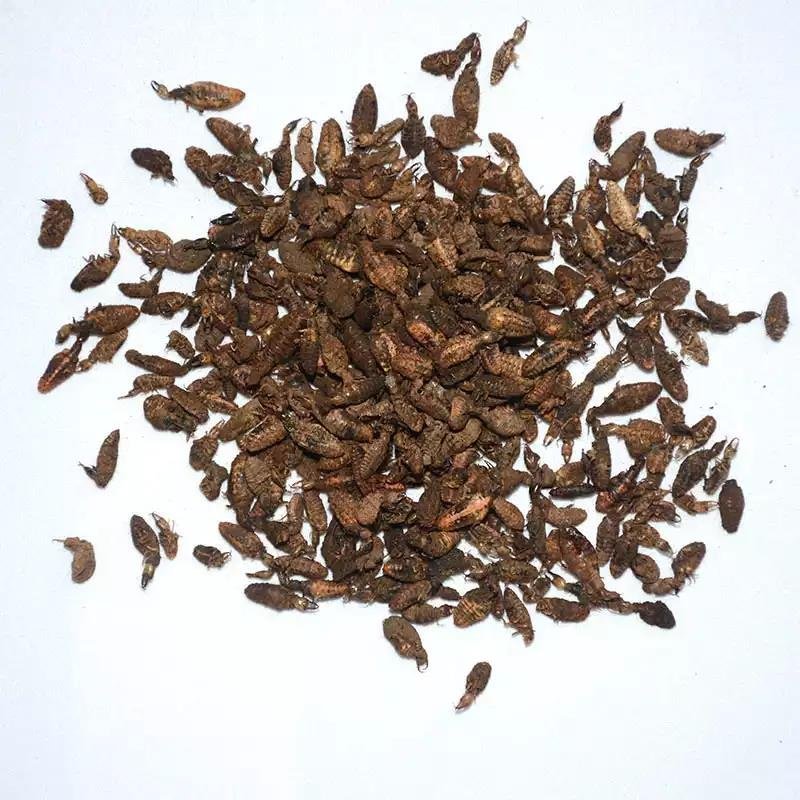 沙牛角，道地药材，质优价实，品质保证，药典标准一公斤起批