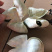 新会陈皮