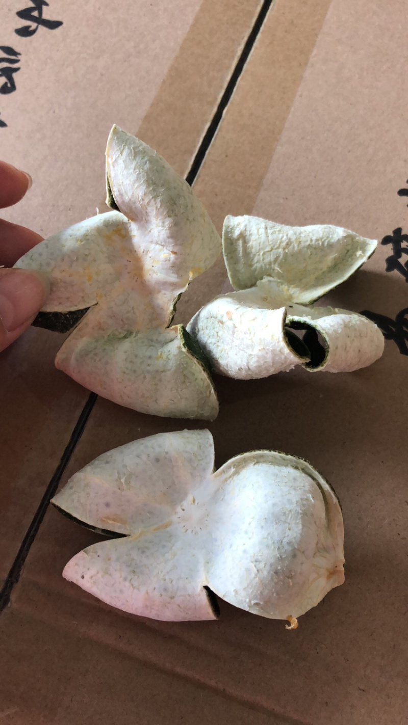 新会陈皮