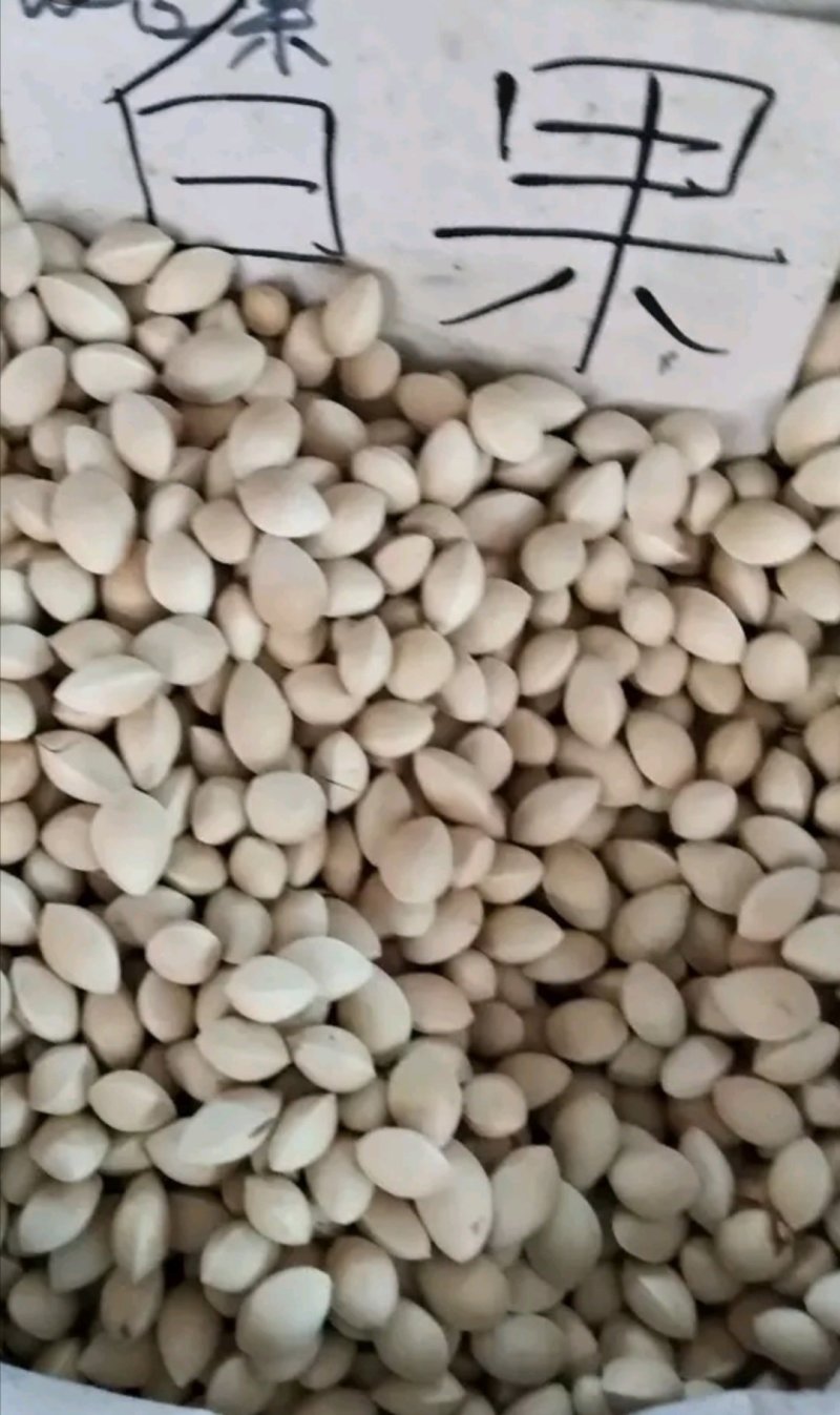 白果，银杏干果