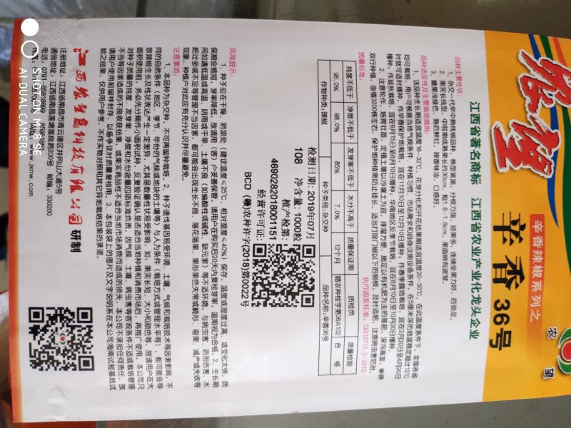 农望辛36香号线椒种子