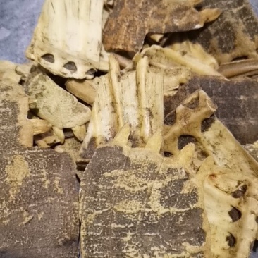 同奎中药材批发炙鳖甲鳖甲甲鱼盖批发各种中药