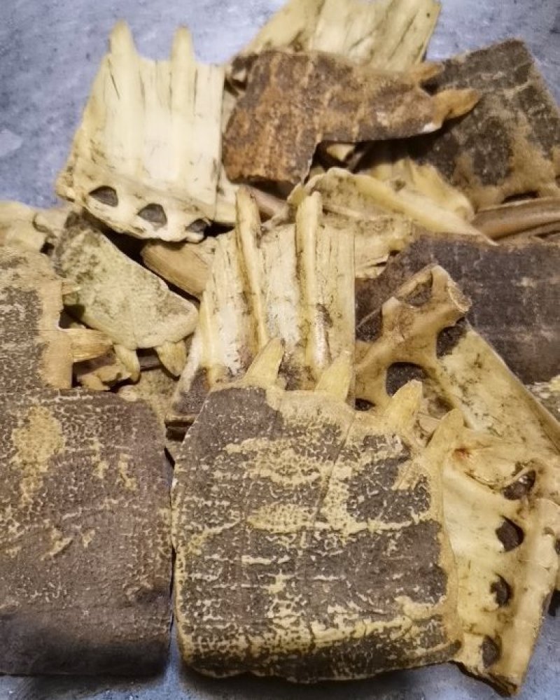 同奎中药材批发炙鳖甲鳖甲甲鱼盖批发各种中药