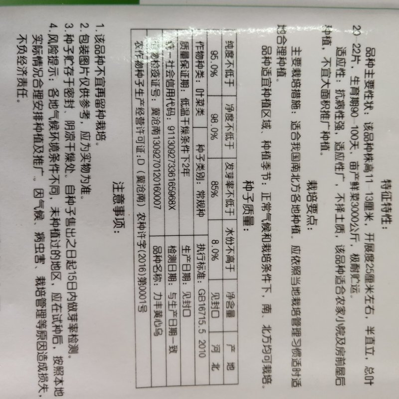 黄心坞菜种子黄心乌种子卷窝菜黄心菜特色蔬菜易种植耐寒强