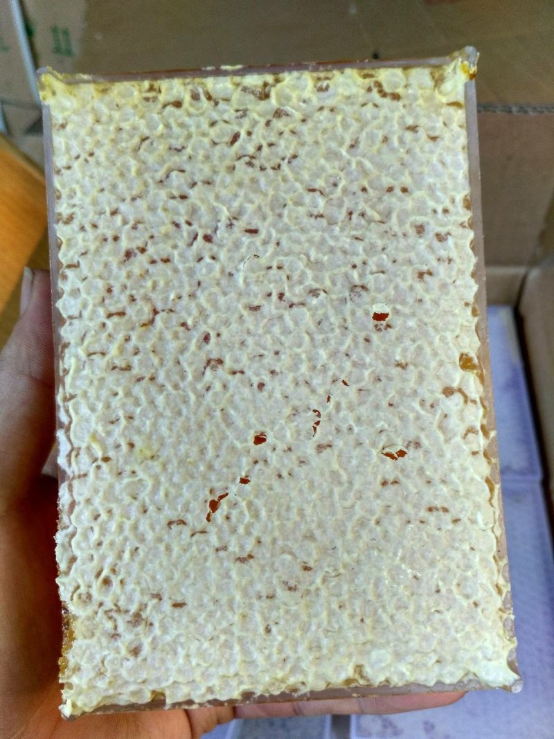 蜂蜜蜂巢蜜