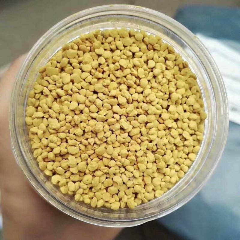 油菜花粉
