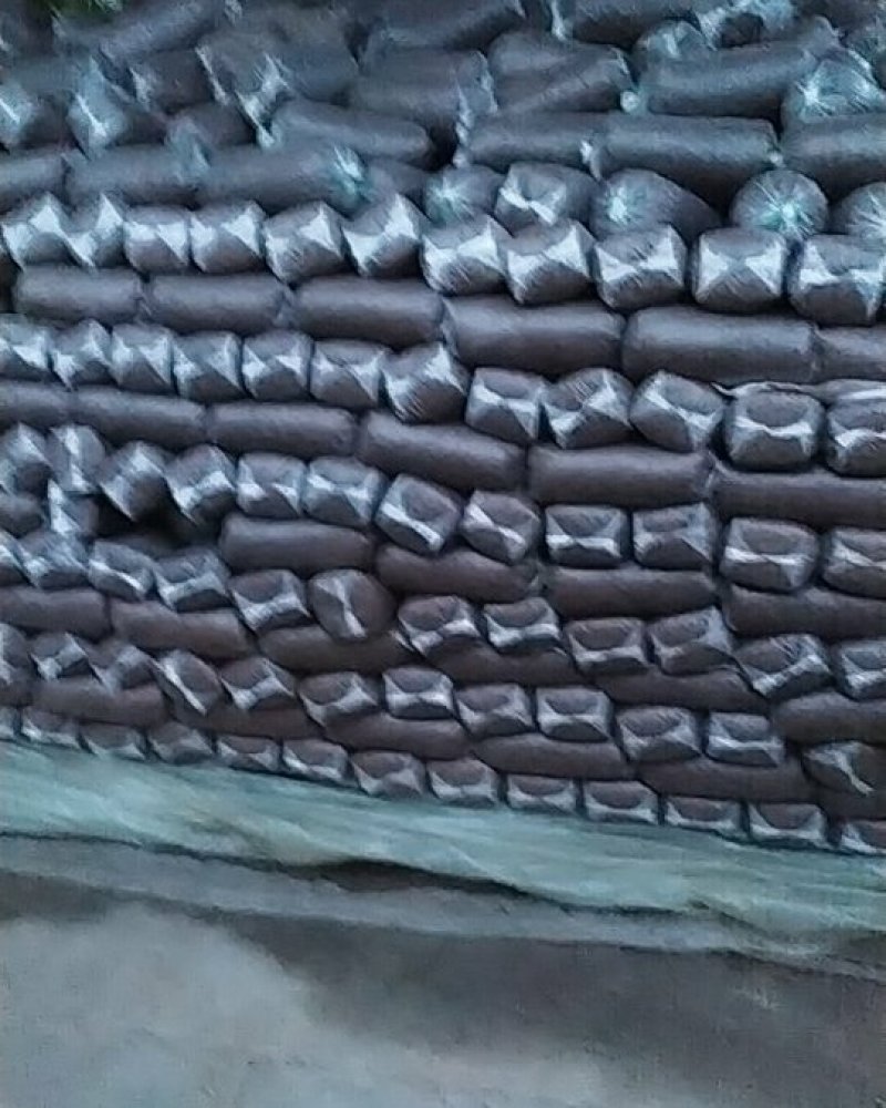 大量出售平菇菌棒