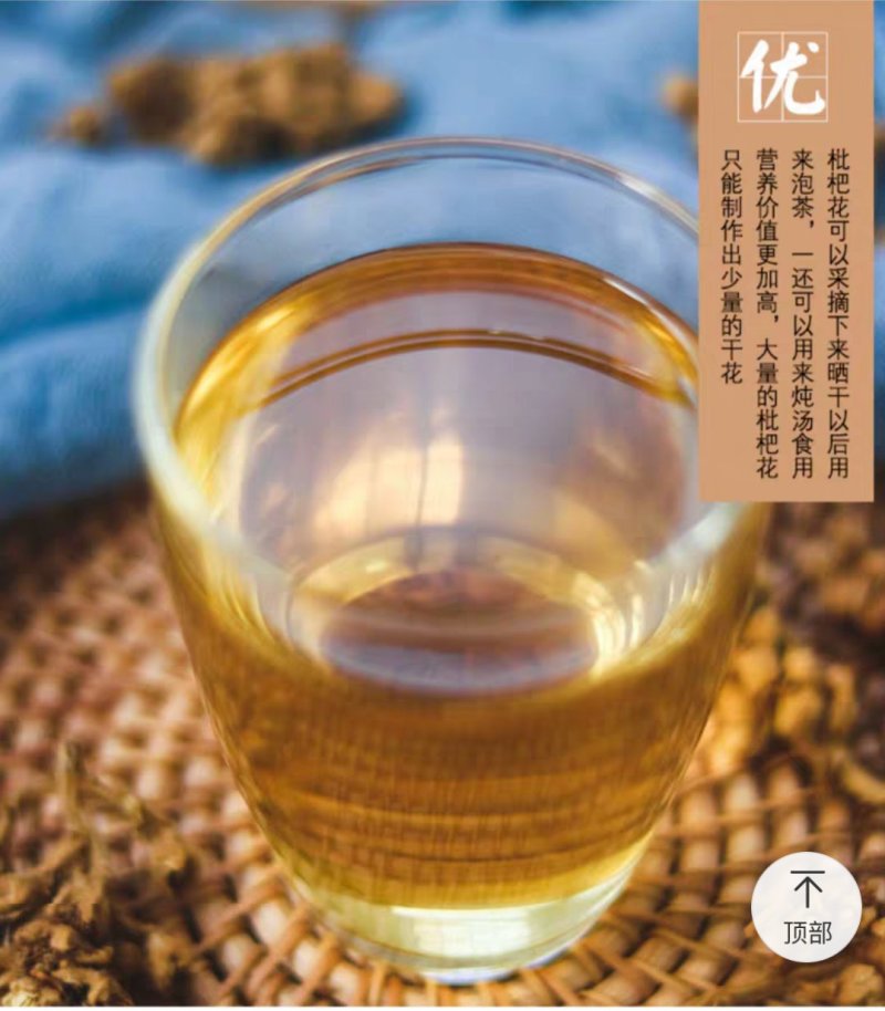 枇杷花