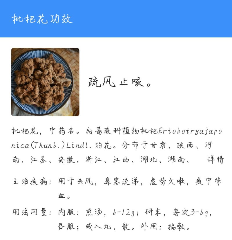 枇杷花