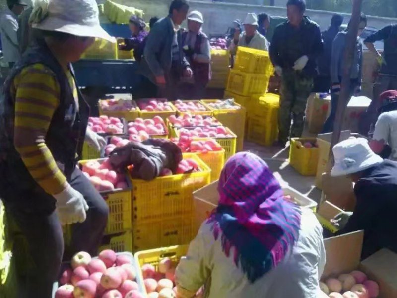 甘肃省会宁县旭日果品收购合作社