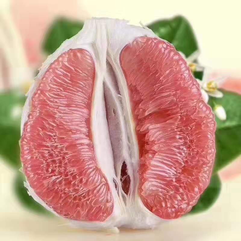 平和红柚三红柚，琯溪蜜柚，自家种植，好吃不贵