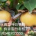 【刘氏果园】晚秋黄梨口感好果型美
