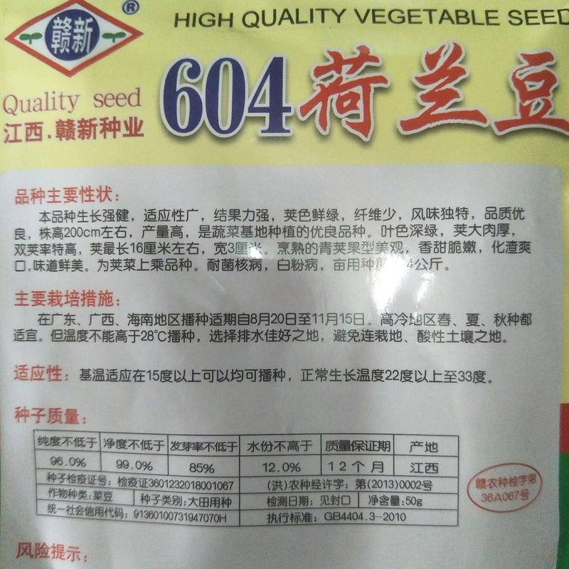 高产604荷兰豆种子营养美味大荚型大田用种