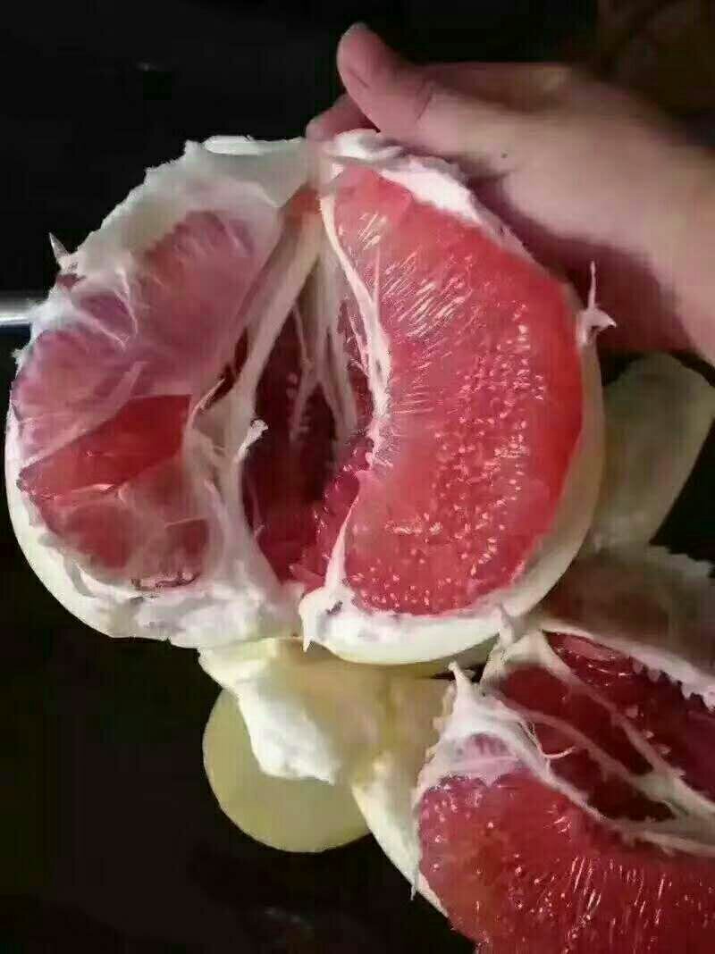 柚子