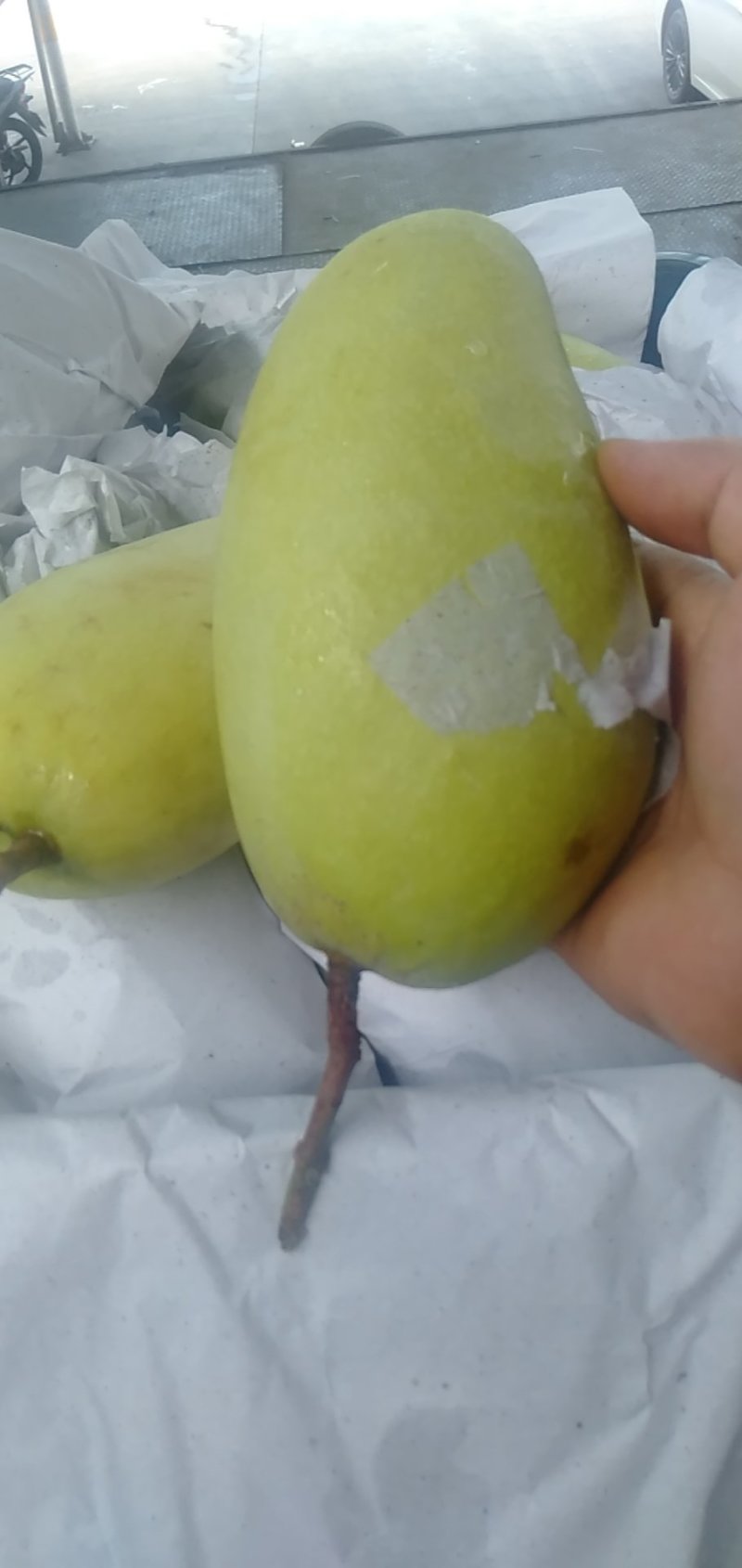 越南进口金煌芒核小无纤维