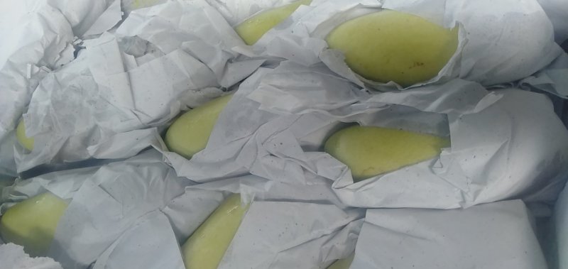 越南进口金煌芒核小无纤维