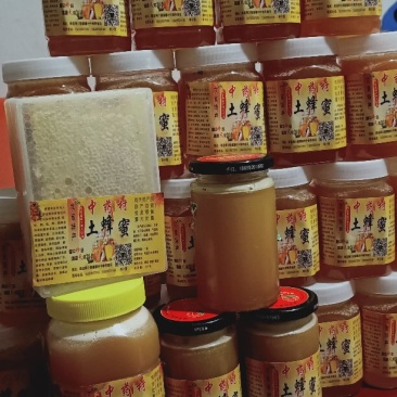 土蜂蜜和巢蜜