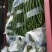 【推荐】新乐大棚蔬菜精品尖椒一手货源常年代收