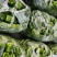 【推荐】新乐大棚蔬菜精品尖椒一手货源常年代收