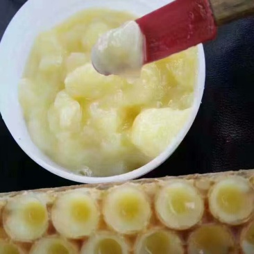 蜂王浆