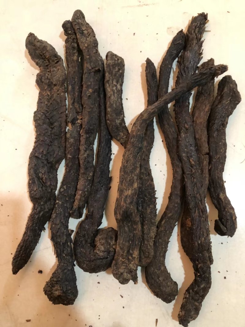 内蒙古纯野生肉苁蓉特级精选500克顺丰包邮