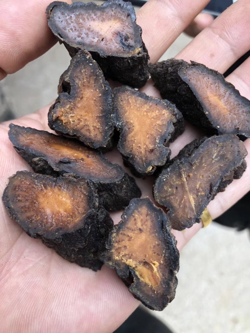 内蒙古纯野生肉苁蓉特级精选500克顺丰包邮