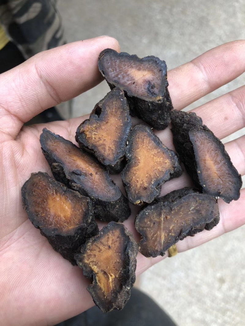 内蒙古纯野生肉苁蓉特级精选500克顺丰包邮