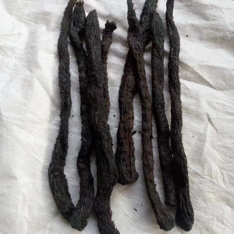 内蒙古纯野生肉苁蓉特级精选500克顺丰包邮
