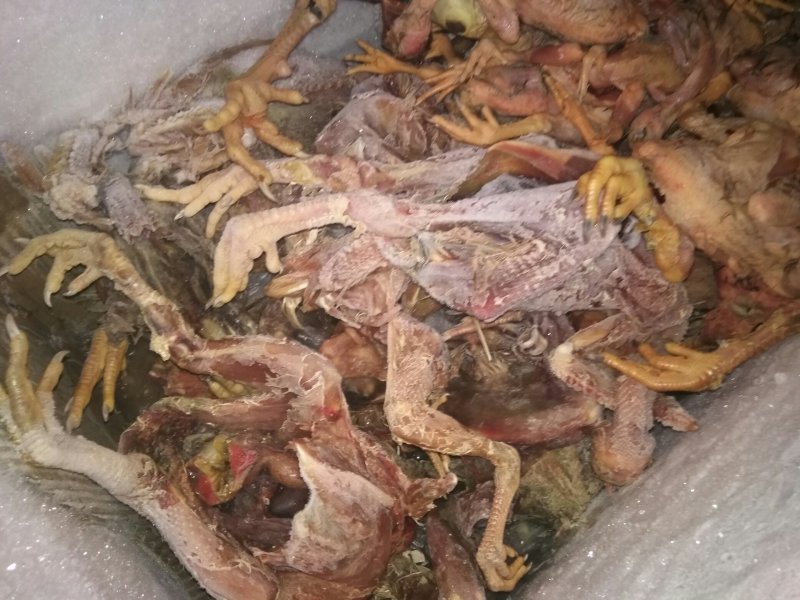 鸡肉鸭肉