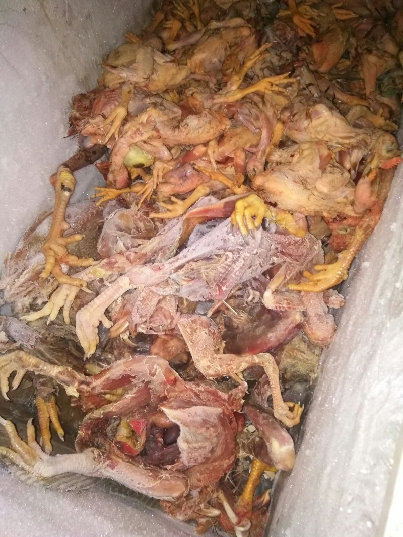 鸡肉鸭肉