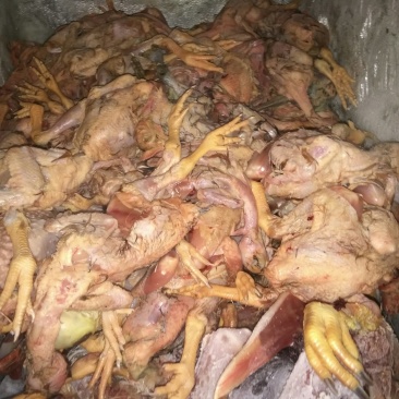 鸡肉鸭肉