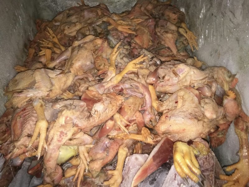 鸡肉鸭肉