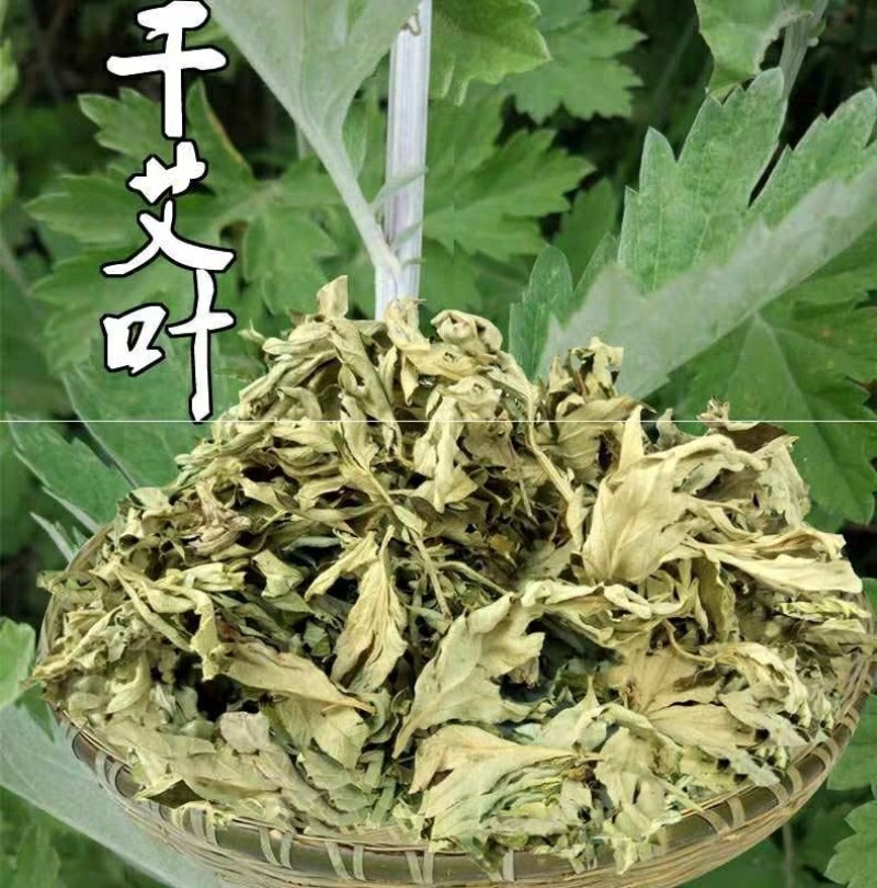 干艾草叶新鲜泡脚药包去湿气家用泡澡艾叶草艾蒿